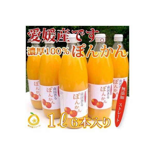 ポンカン　100%ストレートジュース 旬しぼり 愛媛県産 ポンカン 100%ストレートジュース 9本入