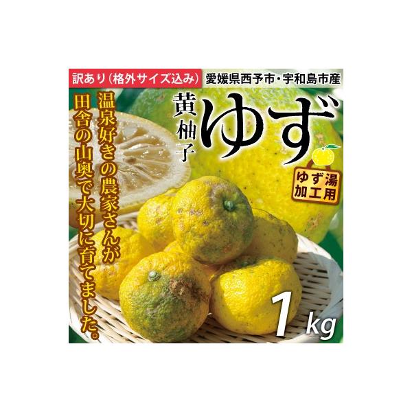 愛媛産訳あり黄ゆず１ｋｇ 格外 サイズ込み ワックス 防腐剤不使用 加工や柚子風呂にご利用下さい Buyee Buyee 提供一站式最全面最專業現地yahoo Japan拍賣代bid代拍代購服務