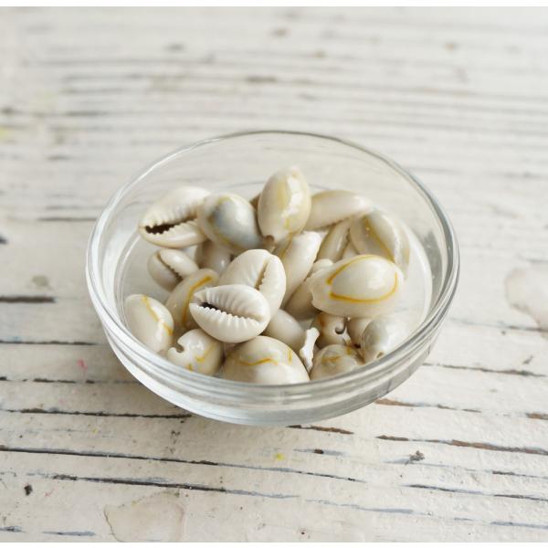 ジェルキャンドル製作に使用できる貝殻です。