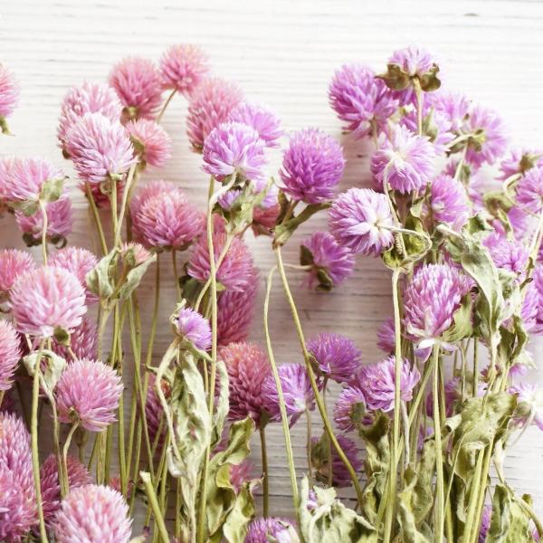 アロマワックスサシェやキャンドル制作にお使いいただけます。