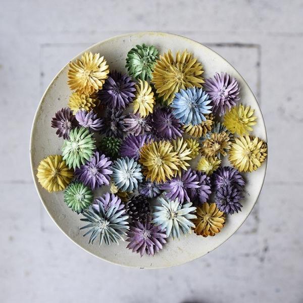 チーゼルフラワー 全2色 ドライフラワー アロマワックスサシェ キャンドル制作用 Buyee Buyee Japanese Proxy Service Buy From Japan Bot Online