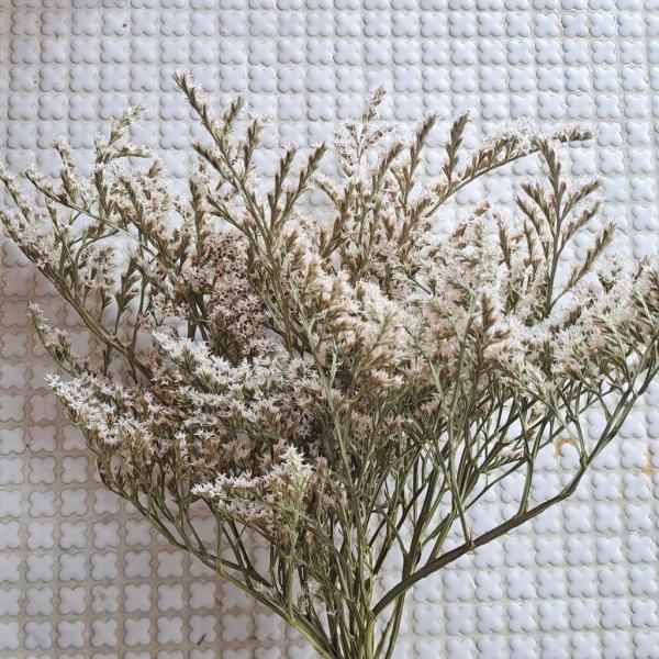 アロマワックスサシェやキャンドル制作にお使いいただけます。■重　さ：約30g※自然素材のため色・大きさにはバラつきがあります。※入荷時期によって色味は異なる場合がございます。予めご了承ください。