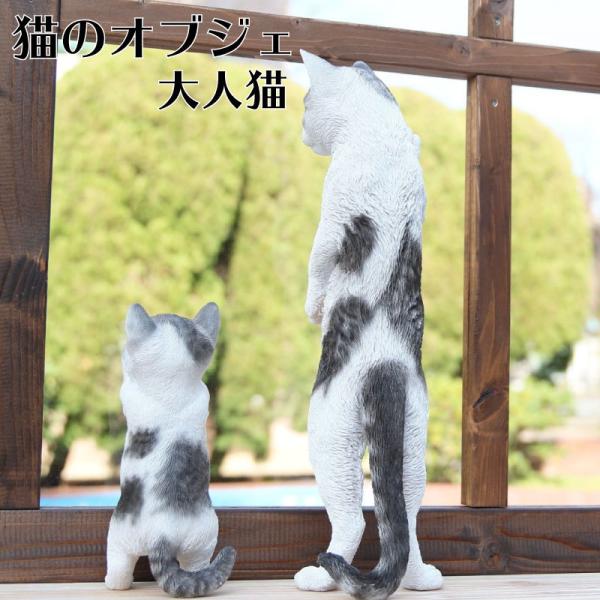 u  IuWF L ˂ lR K[f IuWF   킢