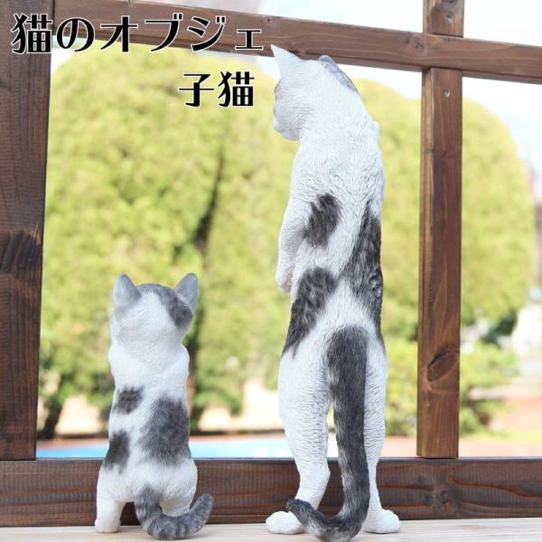 u L  IuWF lR ˂ K[f CeA K[fjO Mtg v[g