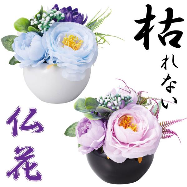   䂫   \[vt[ V{t[ t[\[v vU[uht[ Mtg   