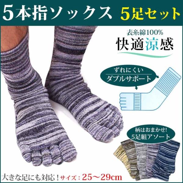 5{w \bNX Y 5Zbg \100 C ܂Ƃߔ L\h Xu n   O ~h