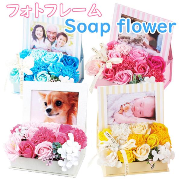 \[vt[ tHgt[t  ʐ^ tHg V{t[ t[{bNX t[\[v  AWg