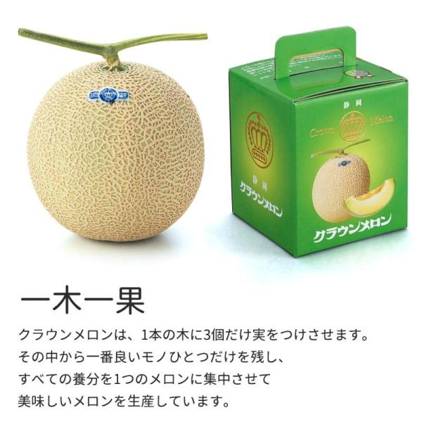 静岡県産 マスクメロン 買い取り クラウン 高級 2玉
