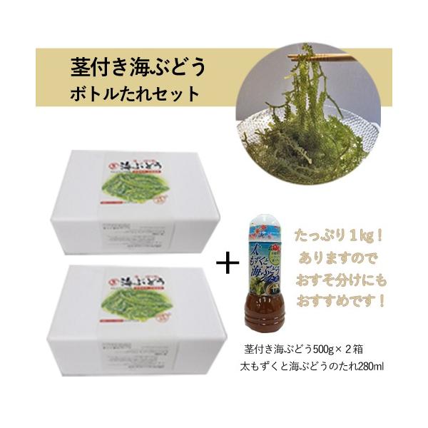 【お買い得！】茎付き海ぶどう500g×2箱　280mlボトルたれセット