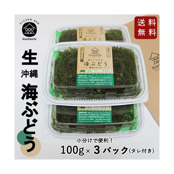 【送料無料】生海ぶどう100g×3パックセット！海ぶどう専門店が目利きで品質と鮮度にこだわった海ぶどうです！