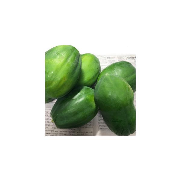 沖縄産　青パパイヤ　(約700g〜900g前後)