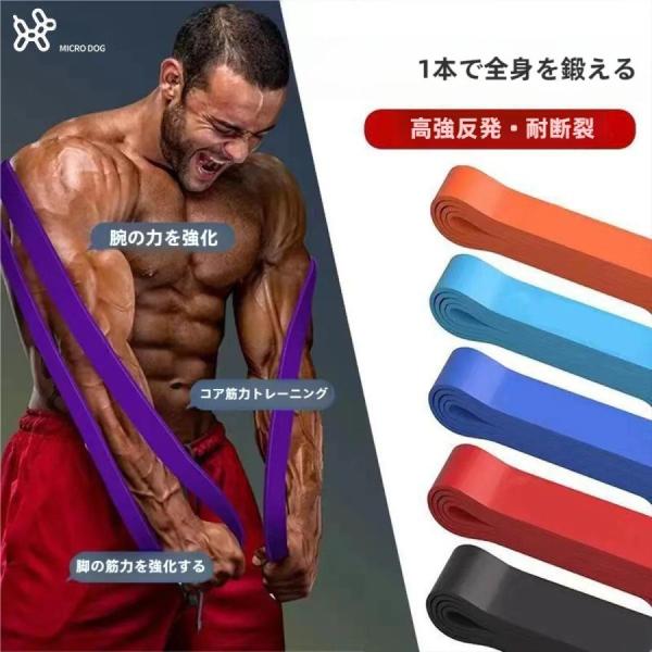 筋トレ チューブ トレーニングチューブ 強度別 懸垂チューブ 懸垂補助チューブゾンチーレジスタンスバンド トレーニングバンド ゴムチューブ ロングバンド