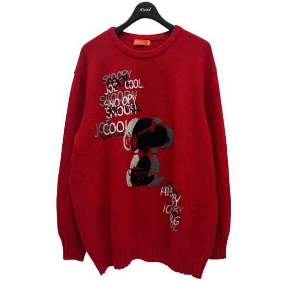 ICEBERG（アイスバーグ） ヒストリー ICEBERG HISTORY クルーネック