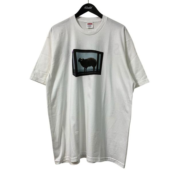 Supreme プリントTシャツ Lサイズ Supreme（シュプリーム） プリントTシャツ ホワイト サイズ：XL