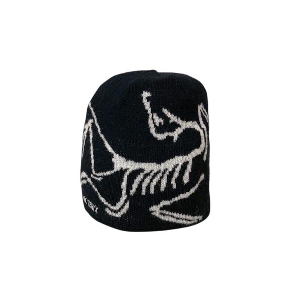 ARC'TERYX（アークテリクス） ARC'TERYX 24AW BIRD HEAD TOQUE ニット