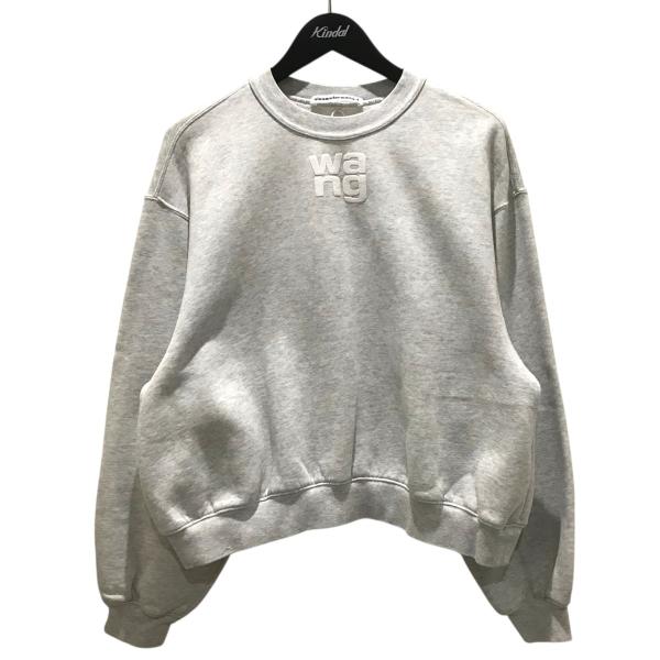 alexanderwang ロゴスウェット 赤 alexanderwang（アレキサンダー・ワン） ロゴスウェット グレー サイズ