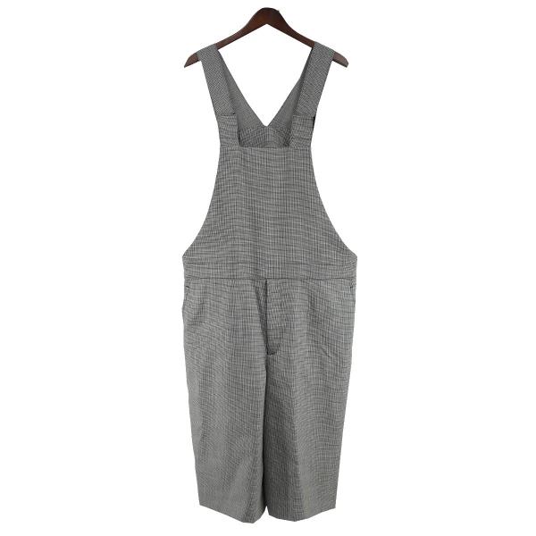 COMME des GARCONS HOMME PLUS コムデギャルソンオムプリュス 22SS PI