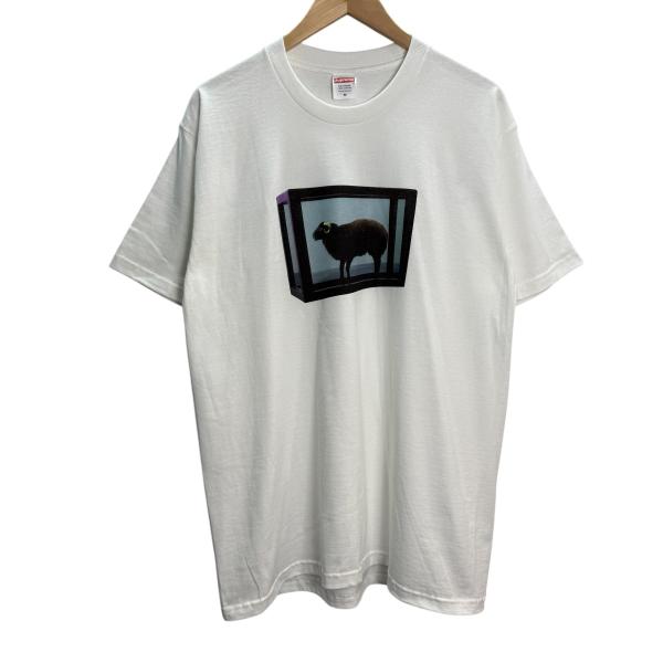 Supreme シュプリーム 25SS／ Damien Hirst Tee ダミアン・ハーストT 