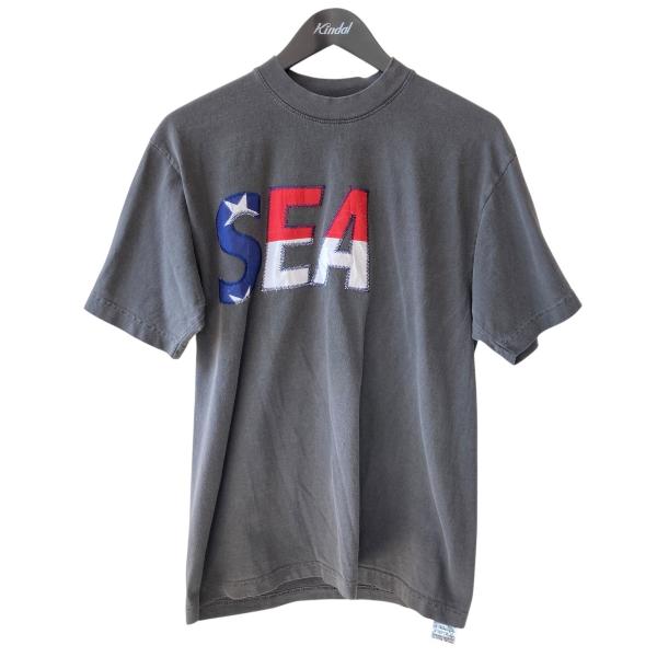 WIND AND SEA ウィンダンシー Tシャツ WDS-O-SIGU-25-Q3-CS-01