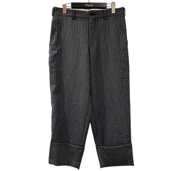 COMME des GARCONS HOMME PLUS コムデギャルソンオムプリュス AD2012