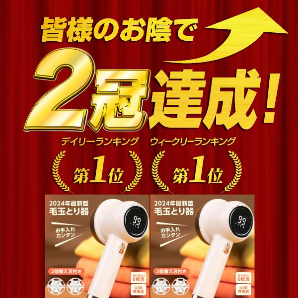 king-55_kedama-00_2_d_20240620122732