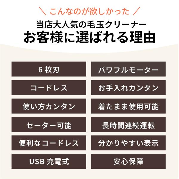 king-55_kedama-00_3_d_20241126044459