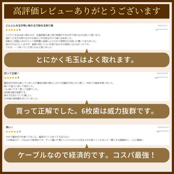 king-55_kedama-00_4_d_20241205141556