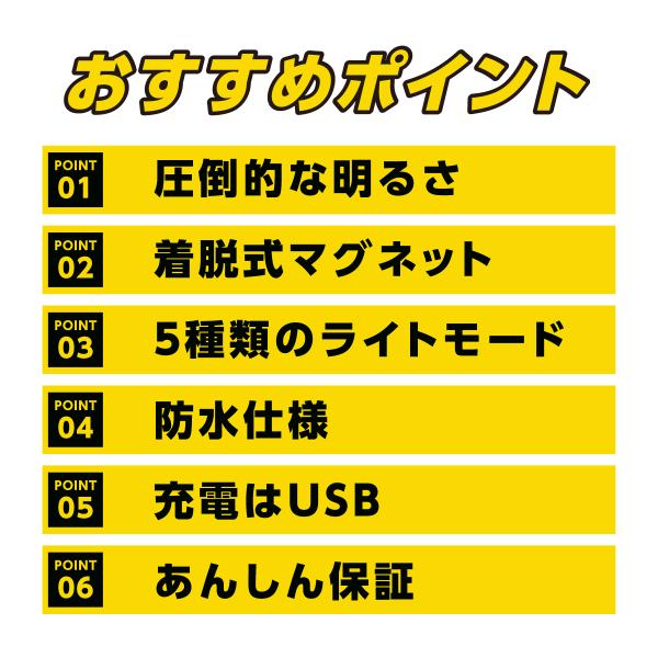 king-55_lid-00_5_d_20231122025617