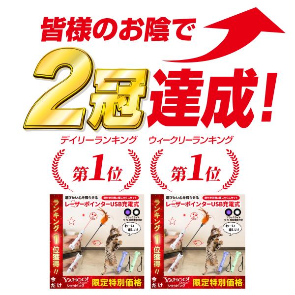 king-55_neko-laser_3