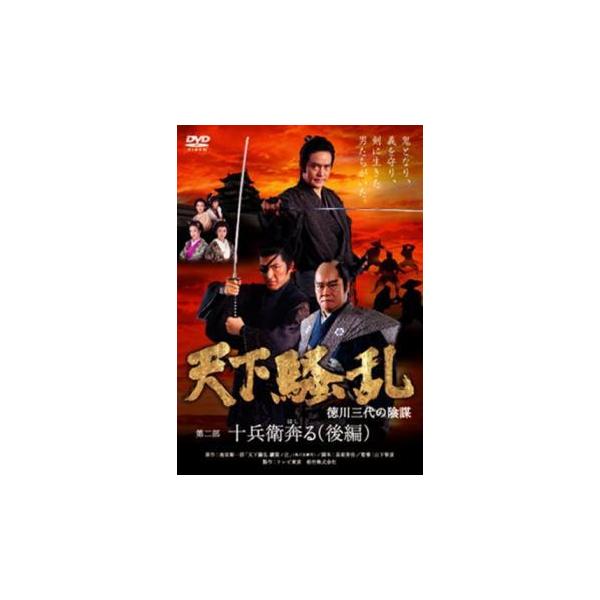 天下騒乱 徳川三代の陰謀 第二部 十兵衛奔る 後編 レンタル落ち 中古 DVD テレビドラマ