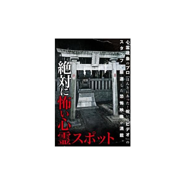 絶対に怖い心霊スポット レンタル落ち 中古 DVD ホラー : キング屋