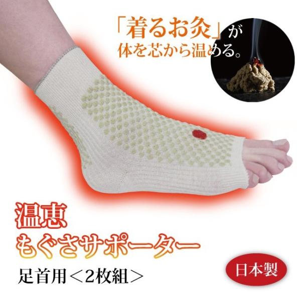 y2gzypzbT|[^[ p2g OSX2A ֐ߒ T|[^[ ₦ VN  Mtg v[g