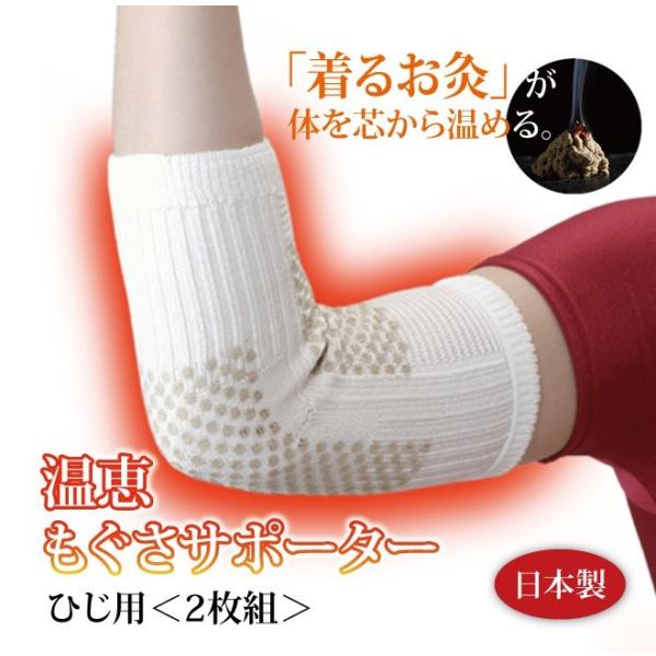 y2gzyЂpzbT|[^[ Ђp2g I GY01 ֐ߒ T|[^[ ₦ VN  Mtg v[g