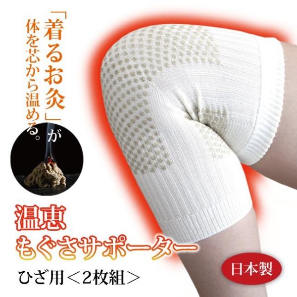 y2gzyЂpzbT|[^[ Ђp2g GY02 ֐ߒ G T|[^[ ₦ VN  Mtg v[g