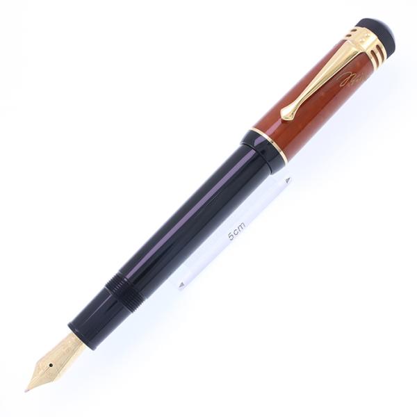 モンブラン フリードリッヒ・シラー 作家シリーズ2000年 万年筆 字幅 M MONTBLANC（筆記具、時計） 万年筆 モンブラン 作家シリーズ2000