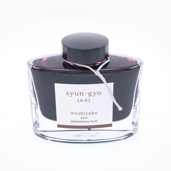 万年筆 インク ボトル PILOT パイロット ボトルインク iroshizuku 色彩