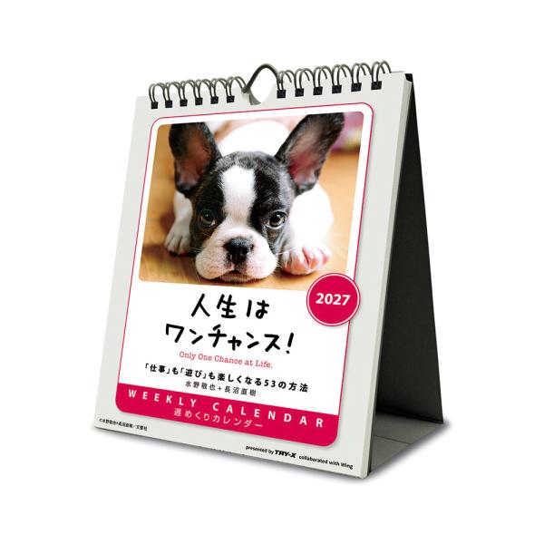 2027年 卓上・壁掛けカレンダー 人生はワンチャンス！（卓上・壁掛け兼用）1部 180×140mm
