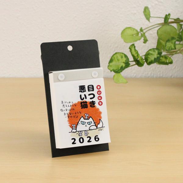 kingle_ec020606001_1_d_20251024183055