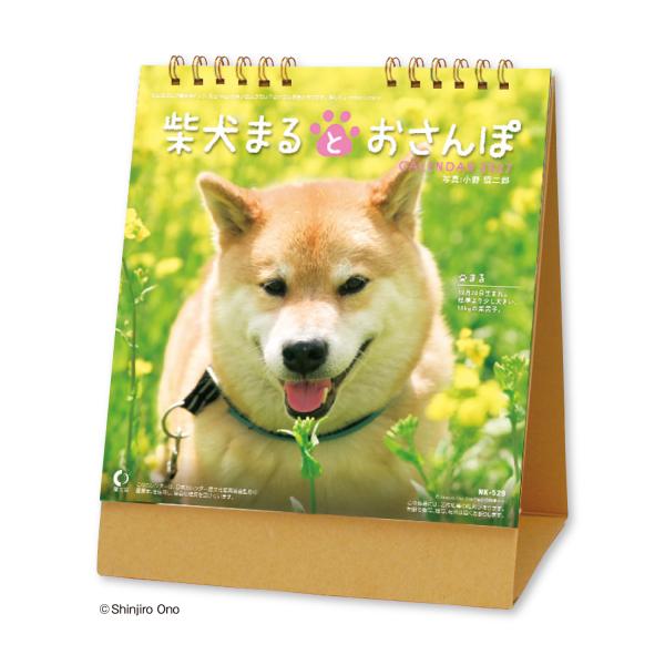 2027年 卓上カレンダー 柴犬まるとおさんぽ（卓上） 1部 180×148mm カレンダー 2027 動物 犬 いぬ 柴犬 まる
