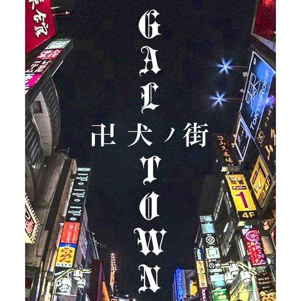 GALFY（ガルフィー） 半袖 Tシャツ メンズ ビッグシルエット ワッペン