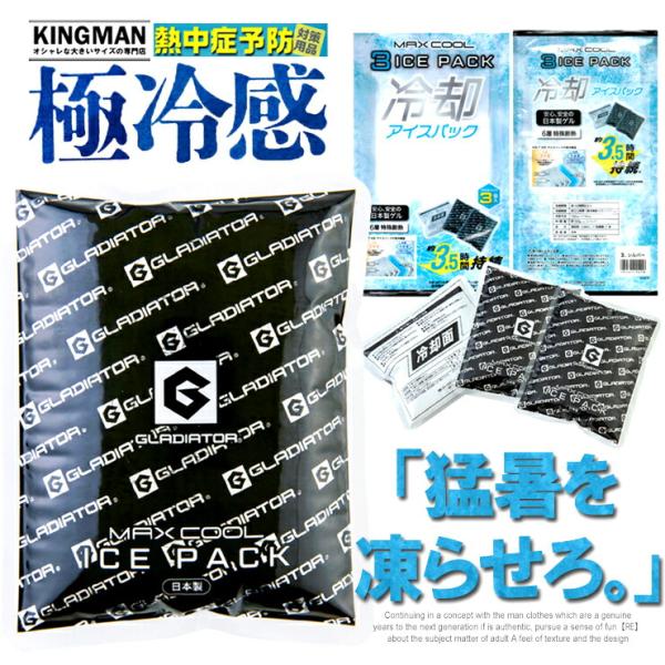 アイスパック 3個セット 熱中症対策 冷却 涼しい 冷たい 保冷剤 アイスベスト用 6層構造 断熱 アルミシート 日本製 安心 安全 酷暑対策 ワークマン