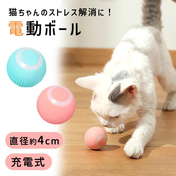 猫用 電動ボール 充電式 Type-Cケーブル付き ペット 玩具 自動