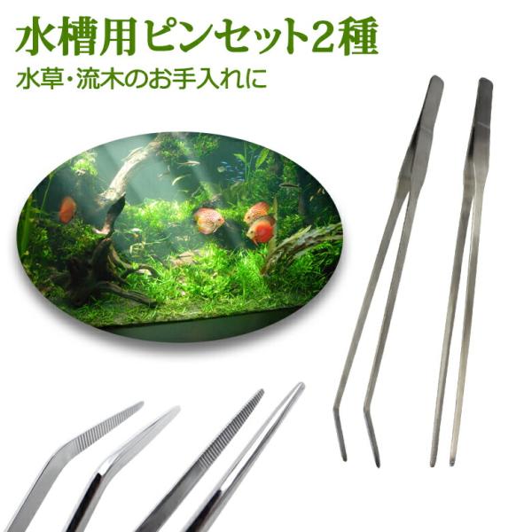 ■備考ピンセット/水槽/ストレート/カーブ/2本セット/水槽用ピンセット2種/水草/ロングサイズ/27cm/水草用ピンセット/ロング/アクアリウム/ハーバリウム/テラリウム/水槽/掃除/熱帯魚/メダカ