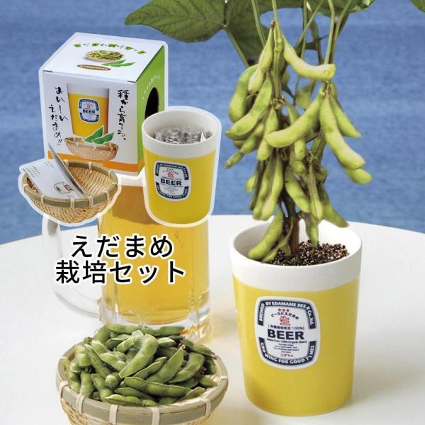 えだまめ栽培セット 枝豆 食べれる 家庭菜園 栽培キット ガーデニング 小さい 育てやすい 可愛い グリーン おうち時間 家 お手軽 ユニーク 雑貨 父 キングセレクション 通販 Paypayモール