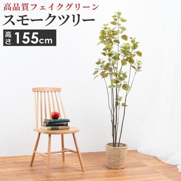 玄関 ツリー 観葉植物の人気商品 通販 価格比較 価格 Com