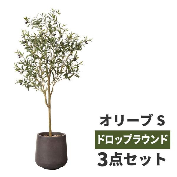 観葉植物 オリーブ 大型の人気商品 通販 価格比較 価格 Com