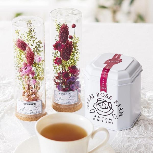 ドライフラワー 瓶の人気商品 通販 価格比較 価格 Com