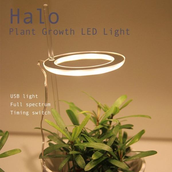 4ヘッド Led電球 水草栽培 植物育成用適用 温室水耕栽培 室内植物育成ライト 高輝度 水耕栽培ランプ 送料無料 Yk197 Staraba 通販 3ヘッド主導植物は 軽い温室の花水耕栽培ガーデンランプを育てる Ciudaddelmaizslp Gob Mx