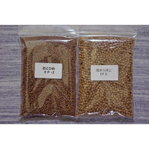 yǐՉ\[ւőzEƂЂ߂Zbgi1̒ɂPj