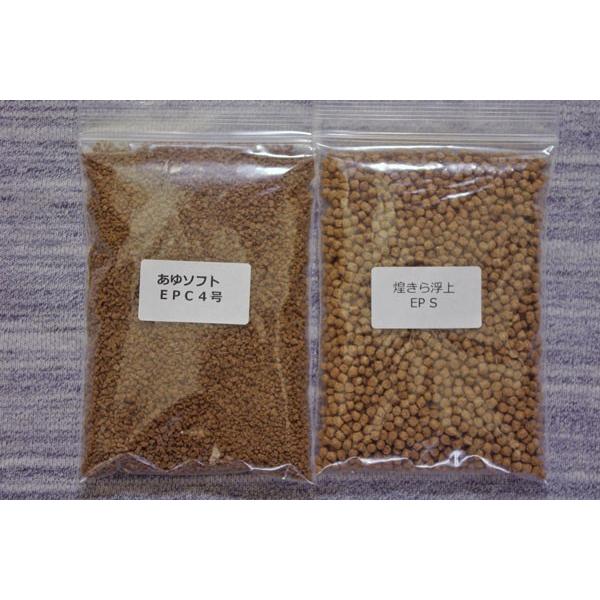 yǐՉ\[ւőz\tgE炨Zbgi1̒ɂPj